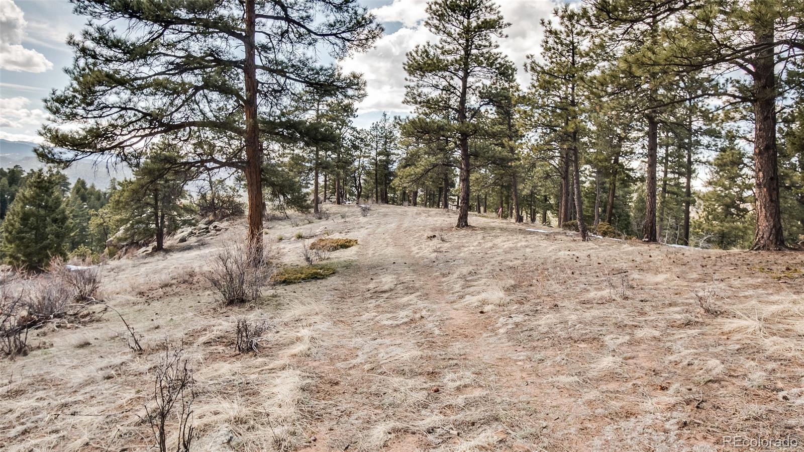 4371 Hilltop Road Evergreen, CO 80439 - Photo 3 of 16 Gallery Image 3