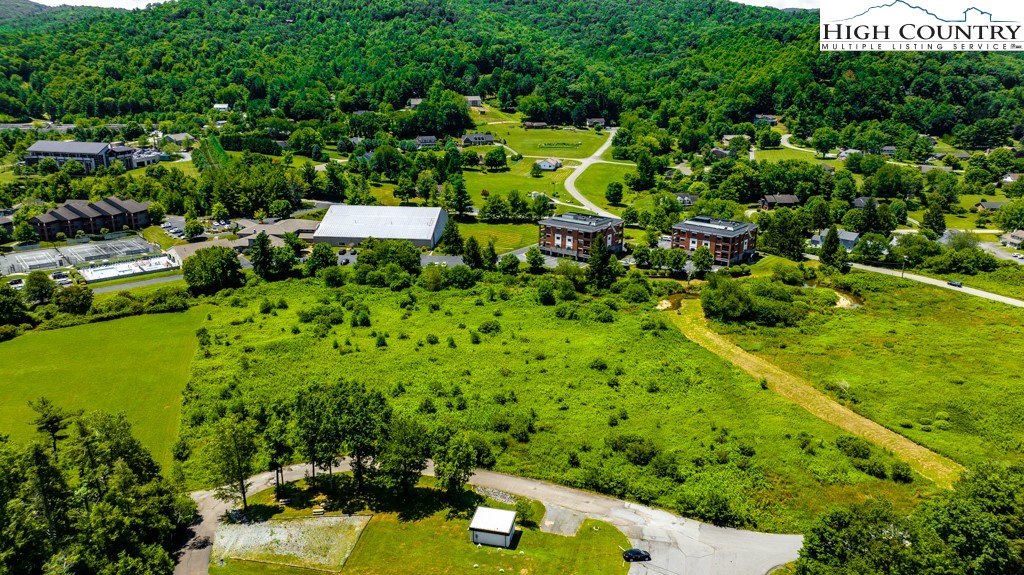 0 Candy Lane Boone, NC 28607 - Photo 2 of 24 a view of a large yard with plants and large trees