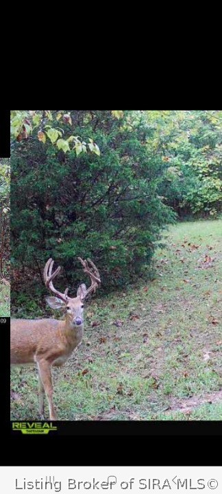 190 Georgetown-Lanesville Road Georgetown, IN 47122 - Photo 39 of 39