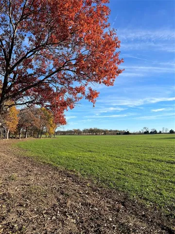 a view of a field with an ocean