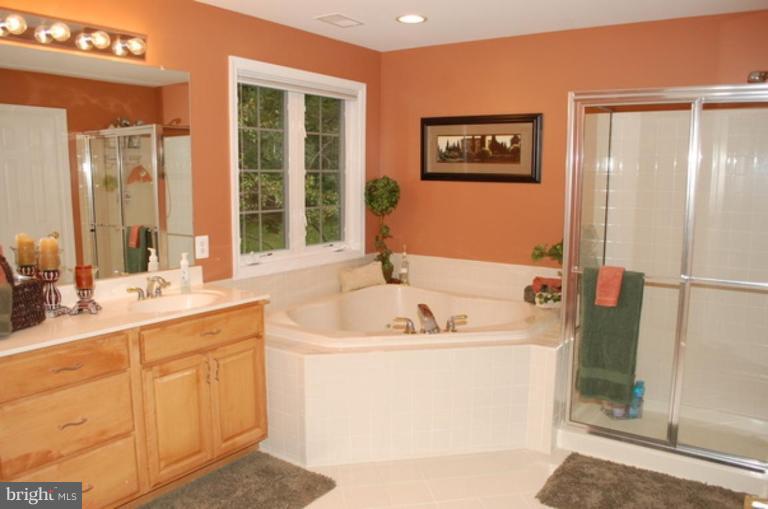 3648 Valley Road Ellicott City, MD 21042 - Photo 17 of 30 a bathroom with a tub a sink and mirror