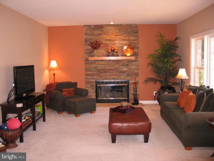 3648 Valley Road Ellicott City, MD 21042 - Photo 4 of 30 a living room with furniture a flat screen tv and a fireplace