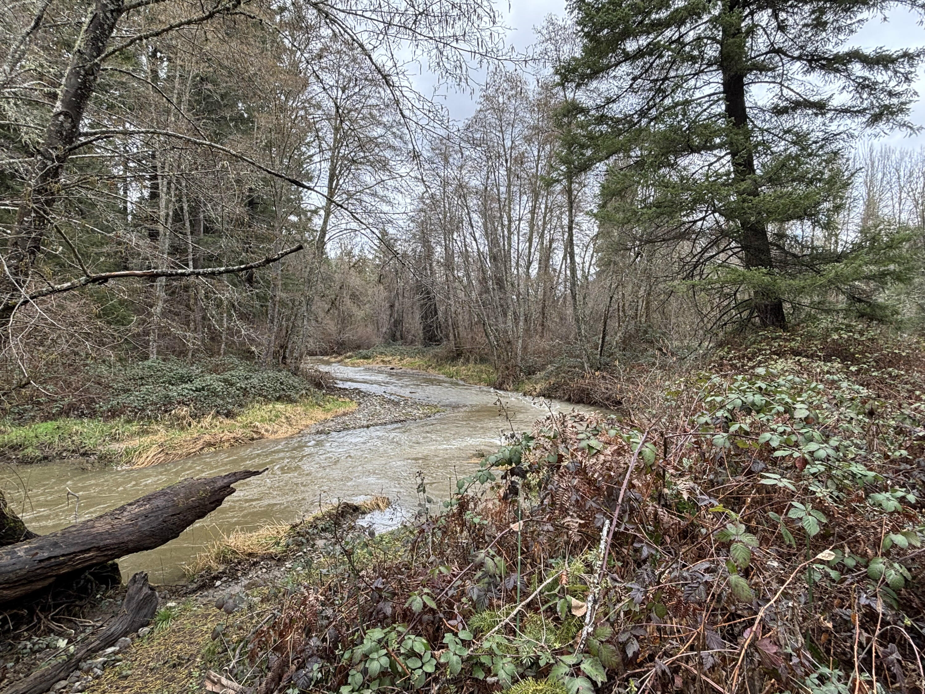 16625 Ford Road Rogue River, OR 97537 - Photo 5 of 31 Creek along pasture