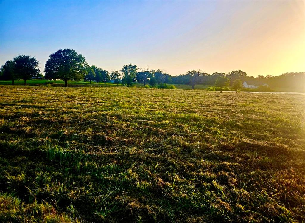 Lot 2 County Road 3541 Saltillo, TX 75478 - Photo 1 of 14 a view of a lake with a mountain in the background