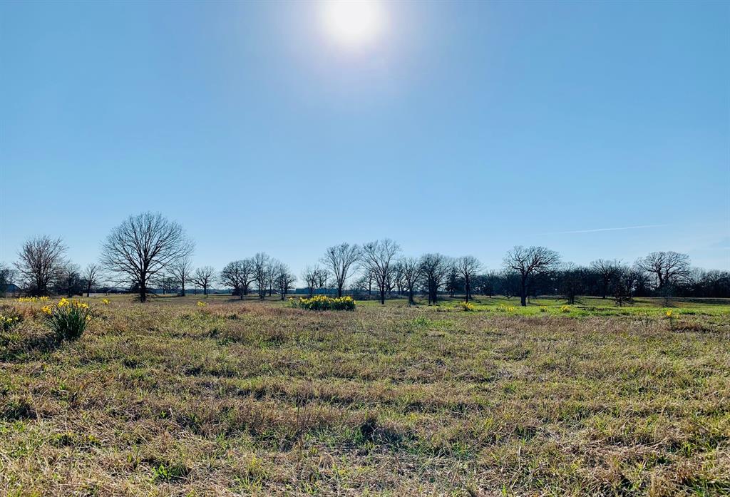 Lot 2 County Road 3541 Saltillo, TX 75478 - Photo 11 of 14 a view of field with trees in background