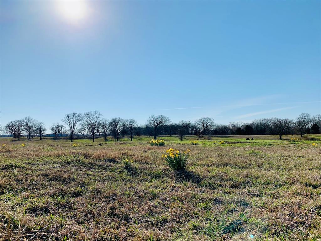 Lot 2 County Road 3541 Saltillo, TX 75478 - Photo 8 of 14 a view of a lake view