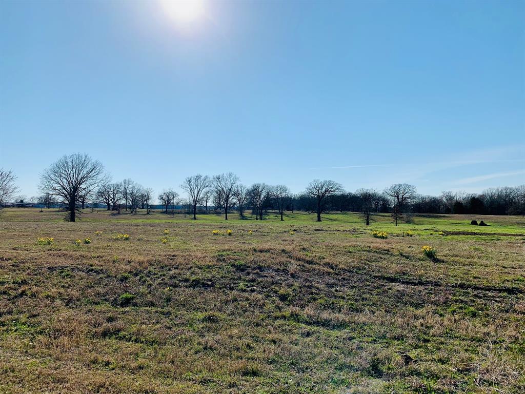 Lot 2 County Road 3541 Saltillo, TX 75478 - Photo 9 of 14 a view of a field with large trees