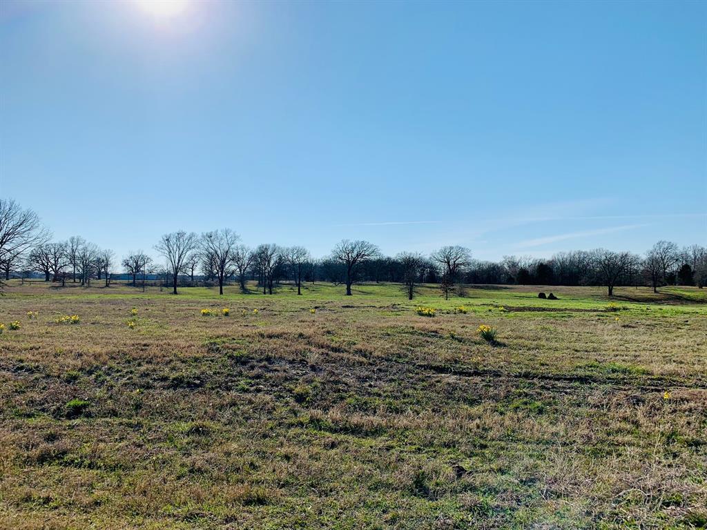 Lot 2 County Road 3541 Saltillo, TX 75478 - Photo 10 of 14 a view of a field with an outdoor space