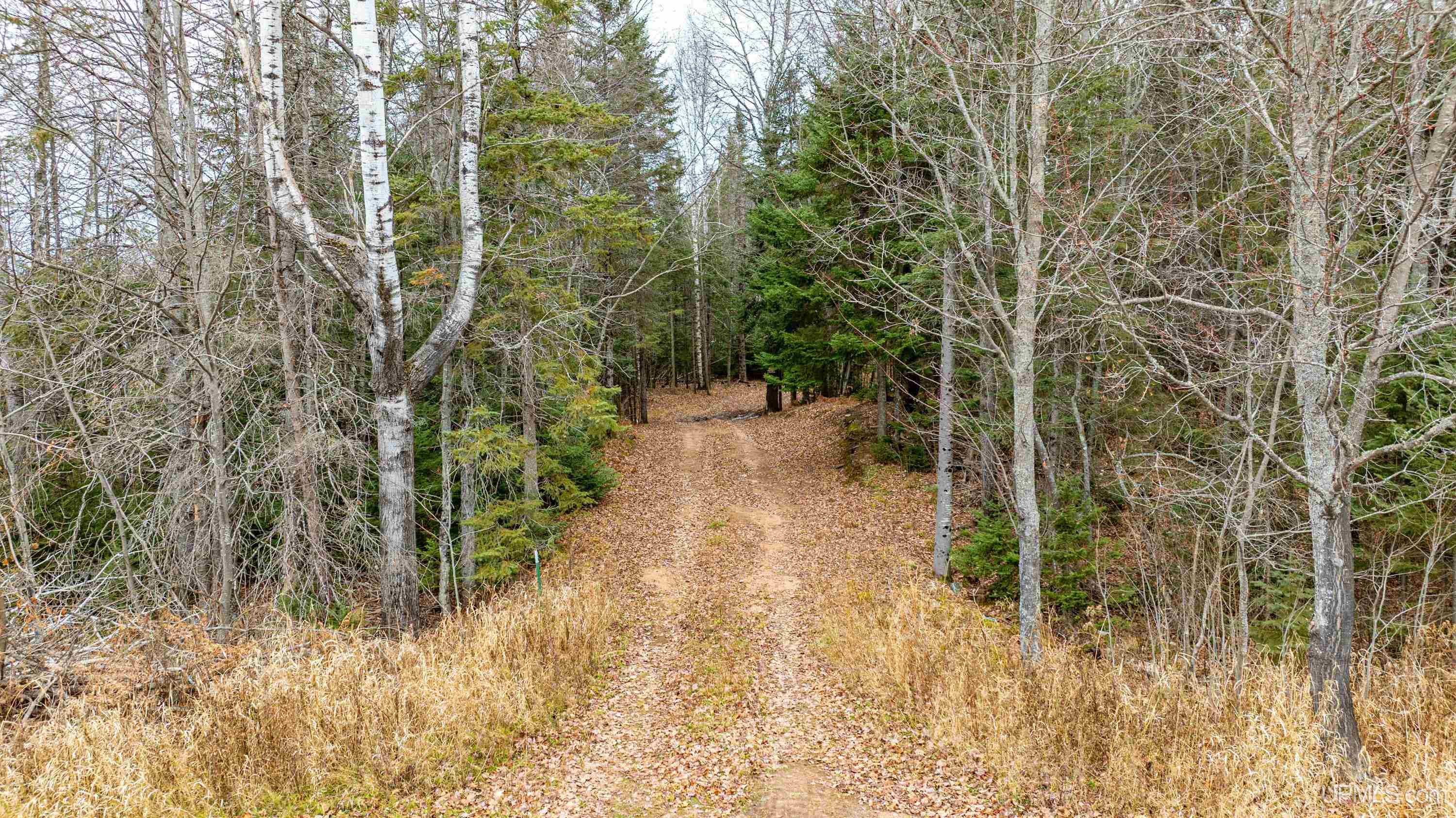 Tbd Tbd Asumaa Road Atlantic Mine, MI 49905 - Photo 3 of 39 Gallery Image 3