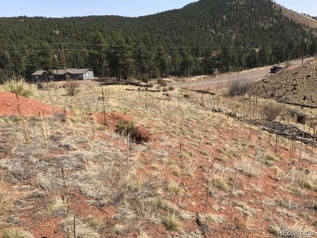 15699 Ouray Road Pine, CO 80470 - Photo 8 of 12 Gallery Image 8