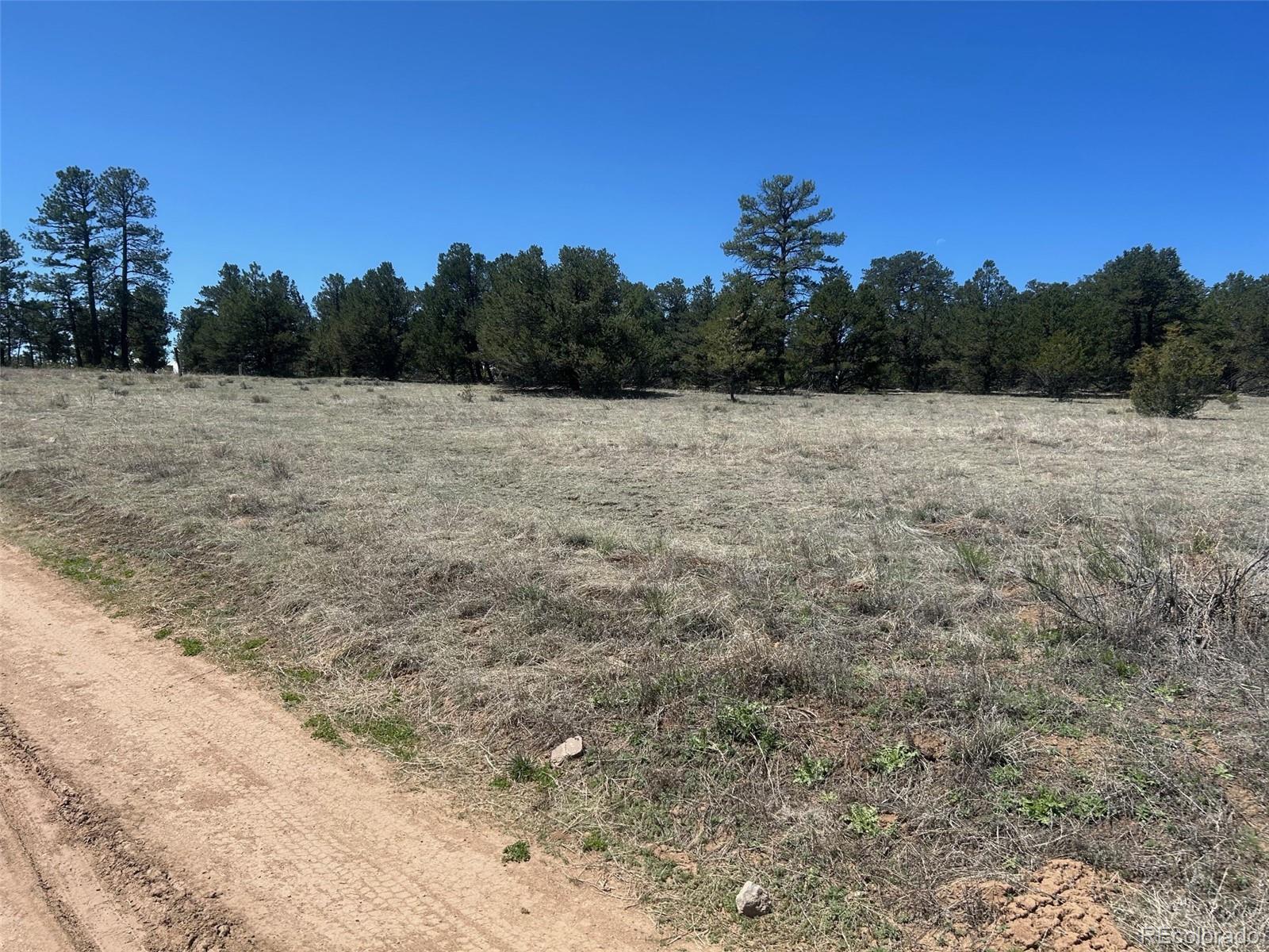 35th Trail Cotopaxi, CO 81223 - Photo 2 of 9 a view of a dry yard with trees in the background