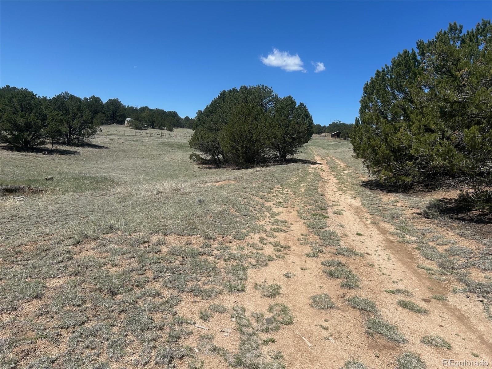 35th Trail Cotopaxi, CO 81223 - Photo 7 of 9 a view of outdoor space and trees