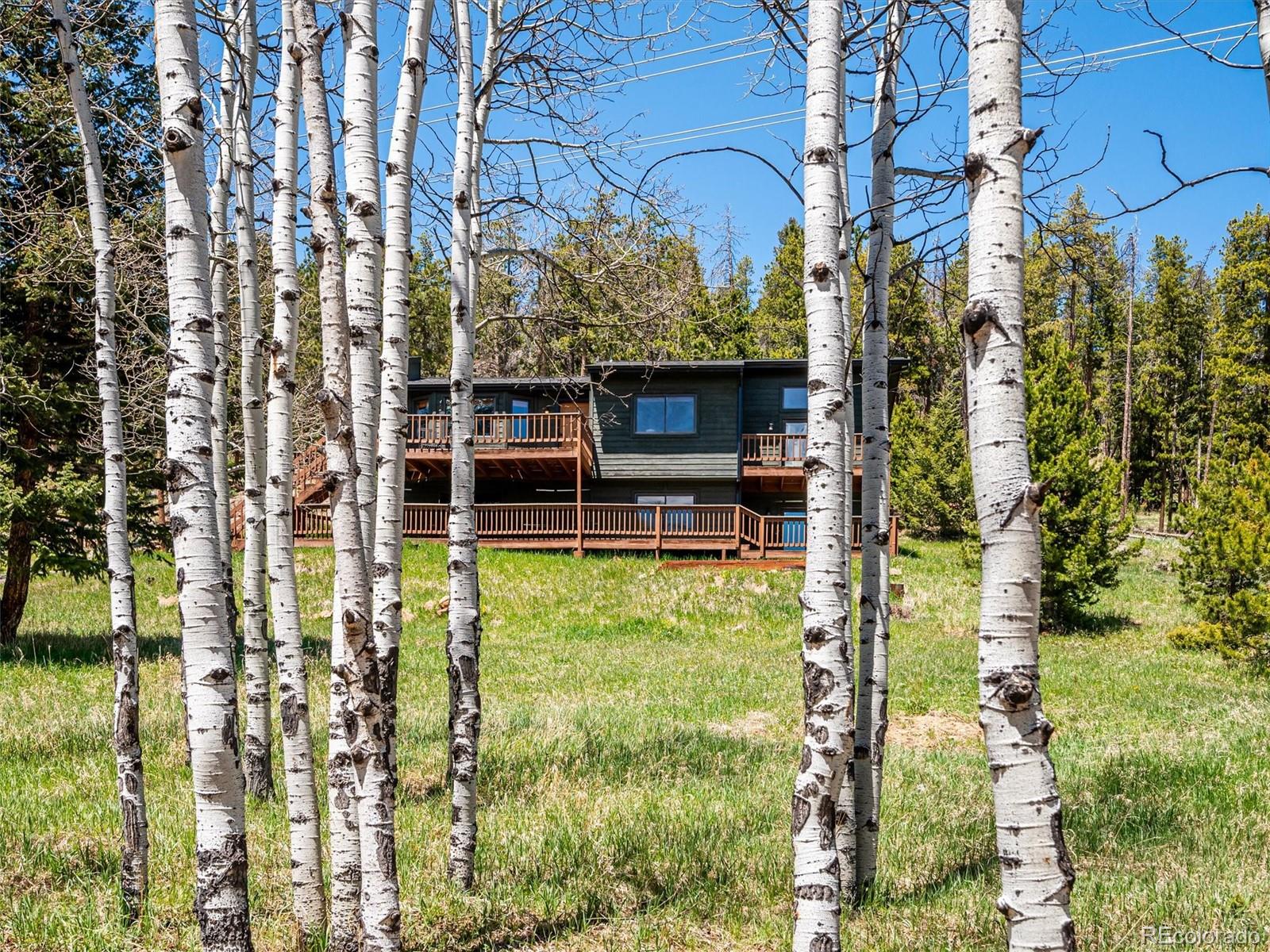 34075 Grouse Lane Evergreen, CO 80439 - Photo 32 of 49