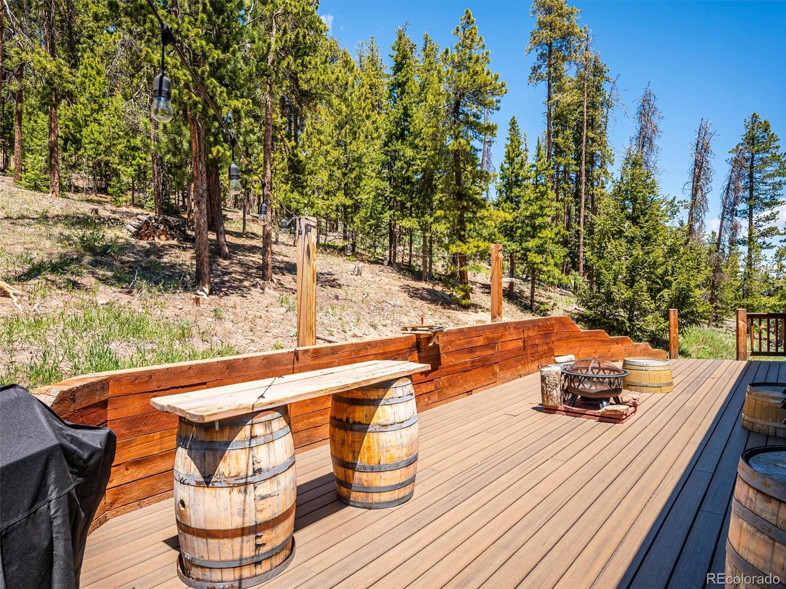 34075 Grouse Lane Evergreen, CO 80439 - Photo 37 of 49