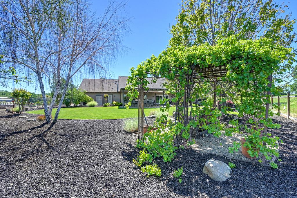 7505 Wise Road Auburn, CA 95603 - Photo 37 of 56