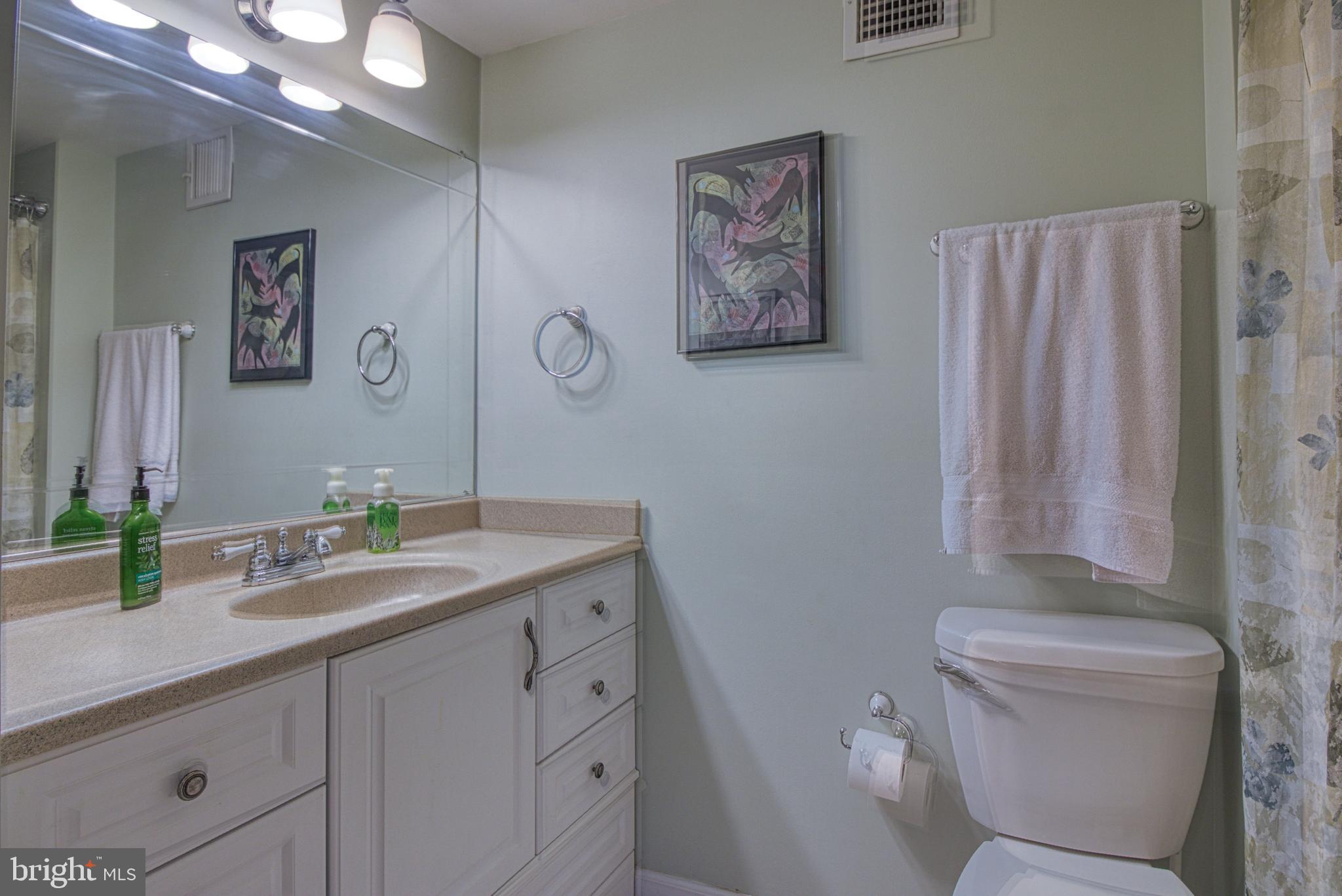 8380 Country Life Road Pasadena, MD 21122 - Photo 39 of 62