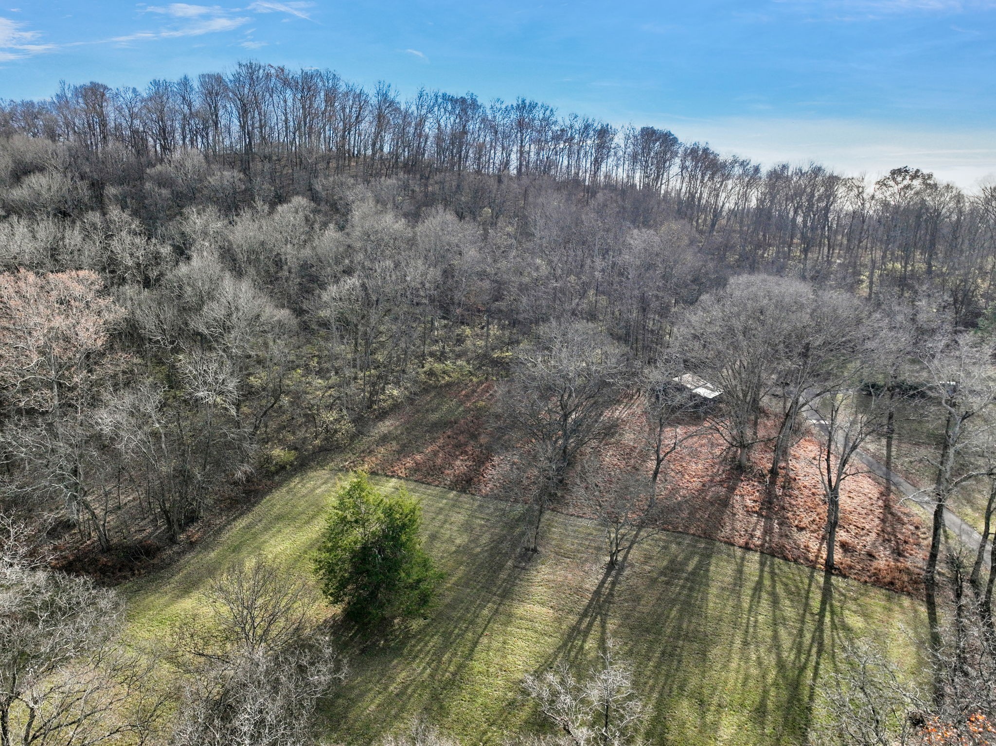 2268 North Berrys Chapel Road Franklin, TN 37069 - Photo 12 of 26 a view of a lake with a yard and large trees