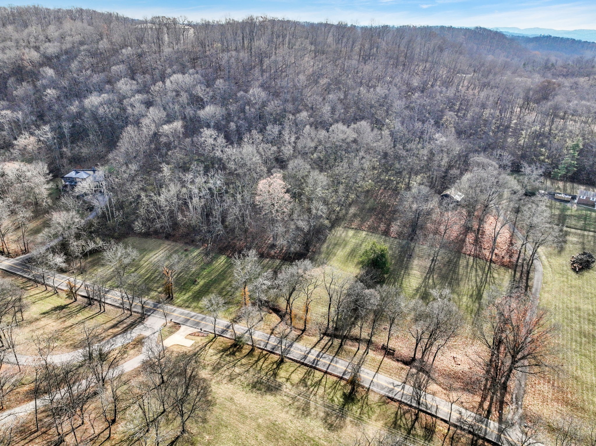 2268 North Berrys Chapel Road Franklin, TN 37069 - Photo 13 of 26 a view of a yard