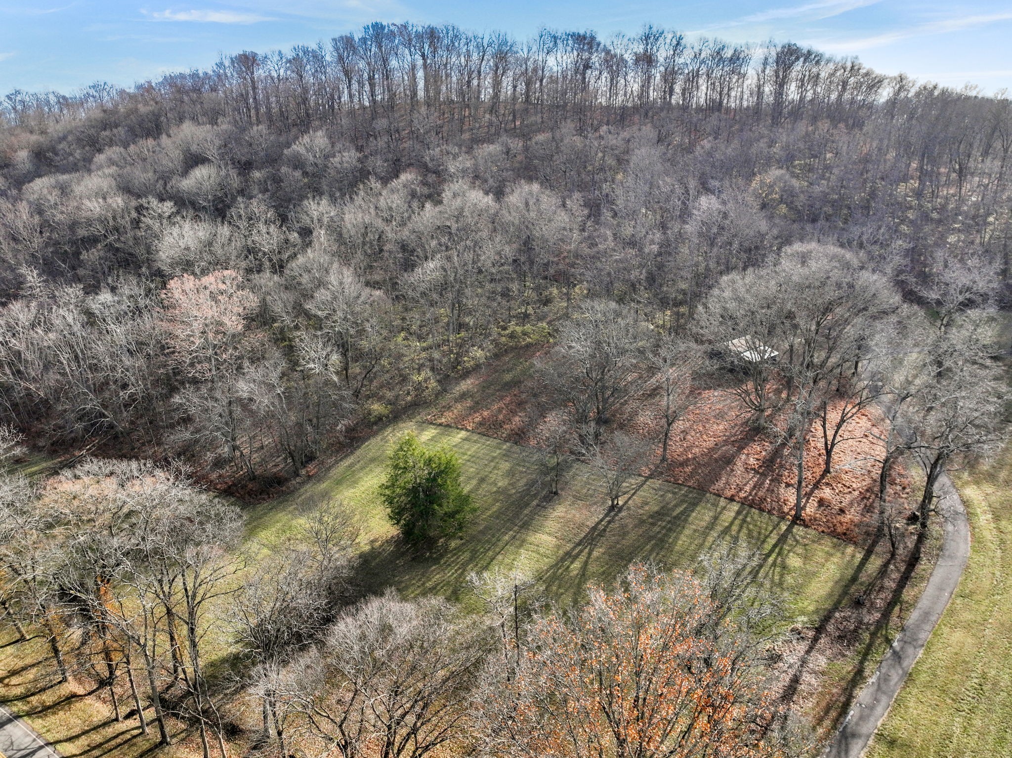 2268 North Berrys Chapel Road Franklin, TN 37069 - Photo 15 of 26 a view of a yard with a tree in the background