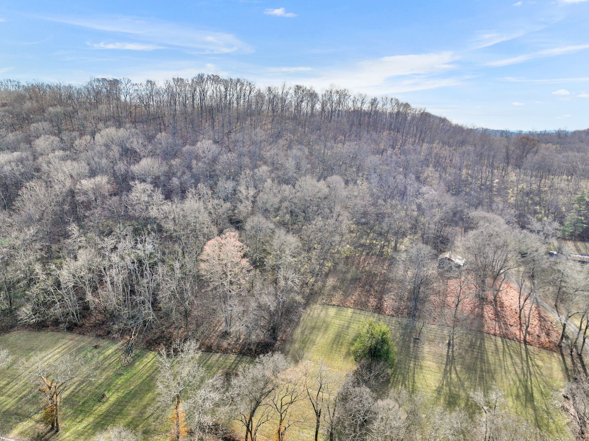 2268 North Berrys Chapel Road Franklin, TN 37069 - Photo 18 of 26 a view of a field with trees in the background
