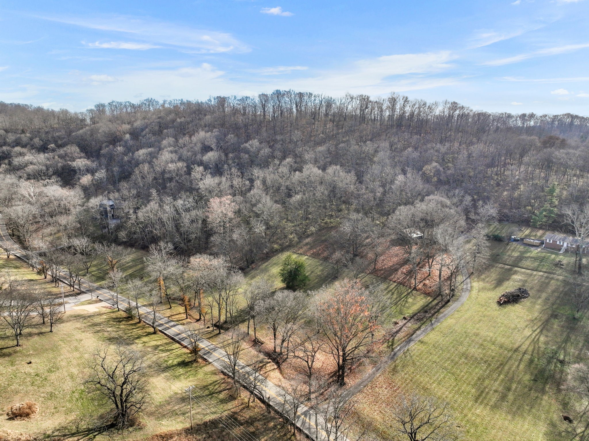 2268 North Berrys Chapel Road Franklin, TN 37069 - Photo 19 of 26 a view of a houses with a yard