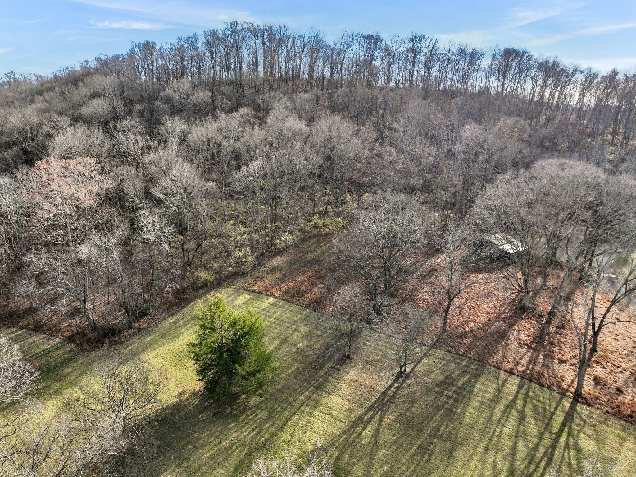 2268 North Berrys Chapel Road Franklin, TN 37069 - Photo 20 of 26 a view of a forest with a house in the background