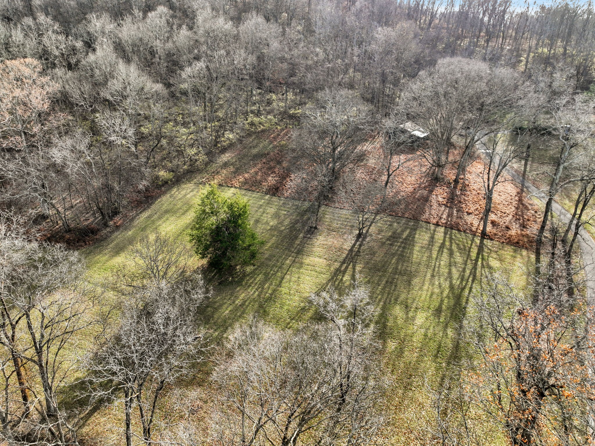 2268 North Berrys Chapel Road Franklin, TN 37069 - Photo 22 of 26 a view of lake