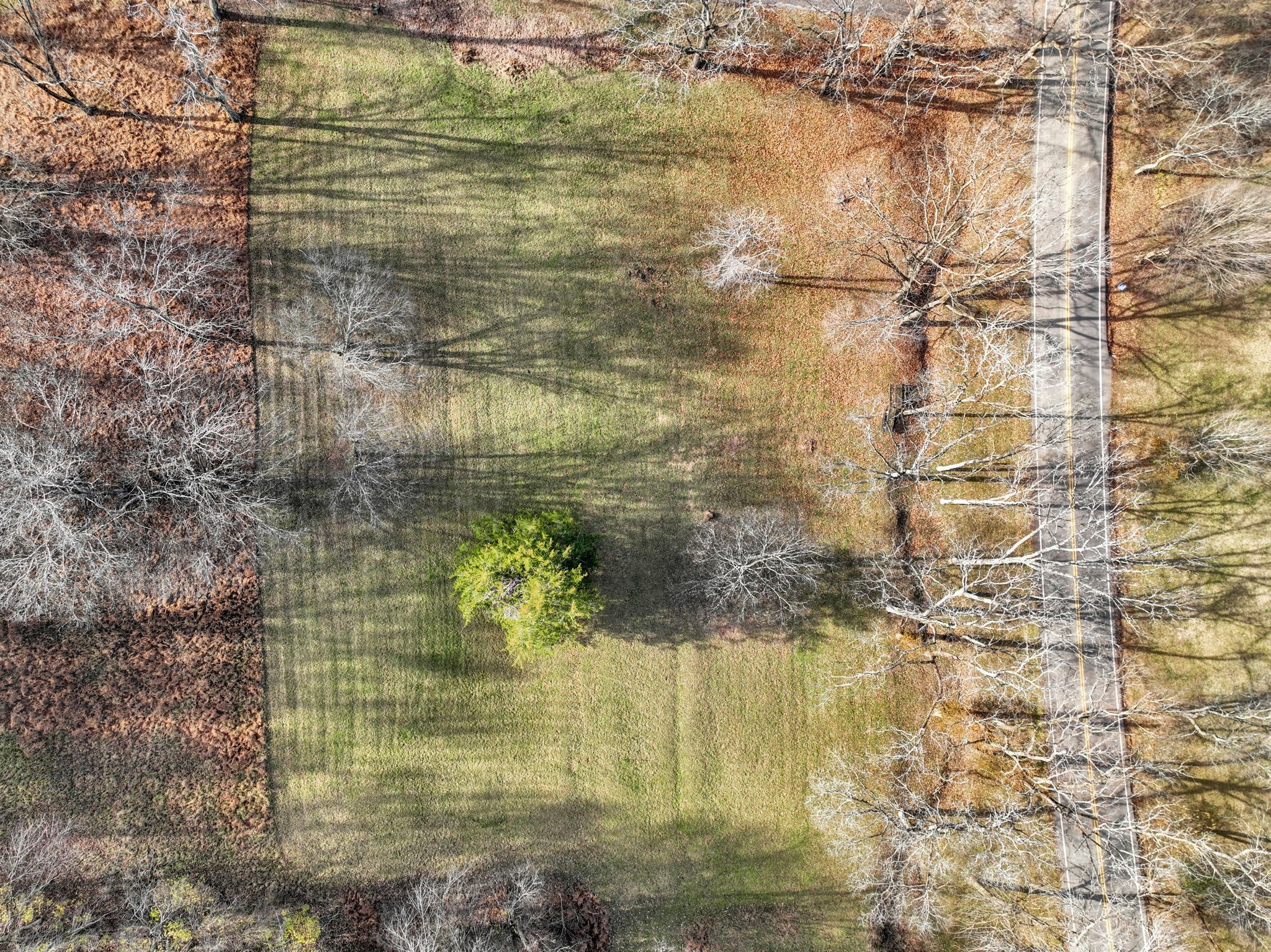 2268 North Berrys Chapel Road Franklin, TN 37069 - Photo 23 of 26 a bathroom with a shower