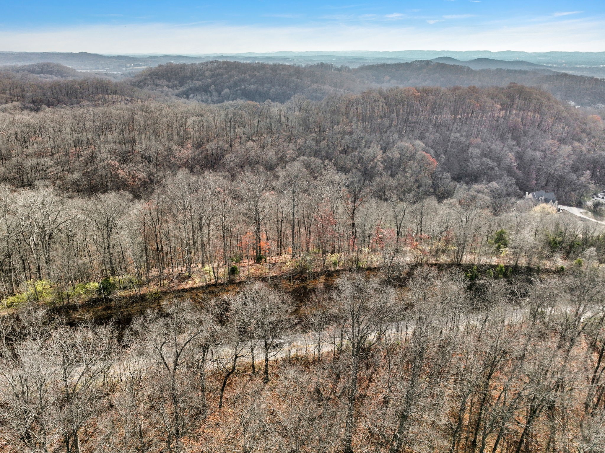 2268 North Berrys Chapel Road Franklin, TN 37069 - Photo 24 of 26 a view of a dry yard with lots of trees
