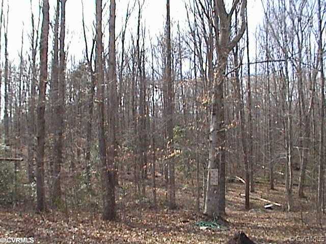 16435 Pleasant Mill Road Montpelier, VA 23192 - Photo 11 of 12 Land
