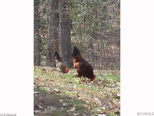 16435 Pleasant Mill Road Montpelier, VA 23192 - Photo 9 of 12 Other
