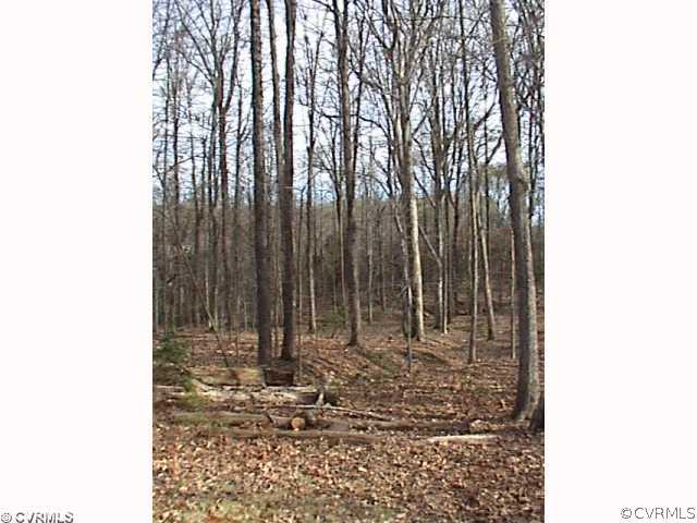 16435 Pleasant Mill Road Montpelier, VA 23192 - Photo 10 of 12 Land/Lot