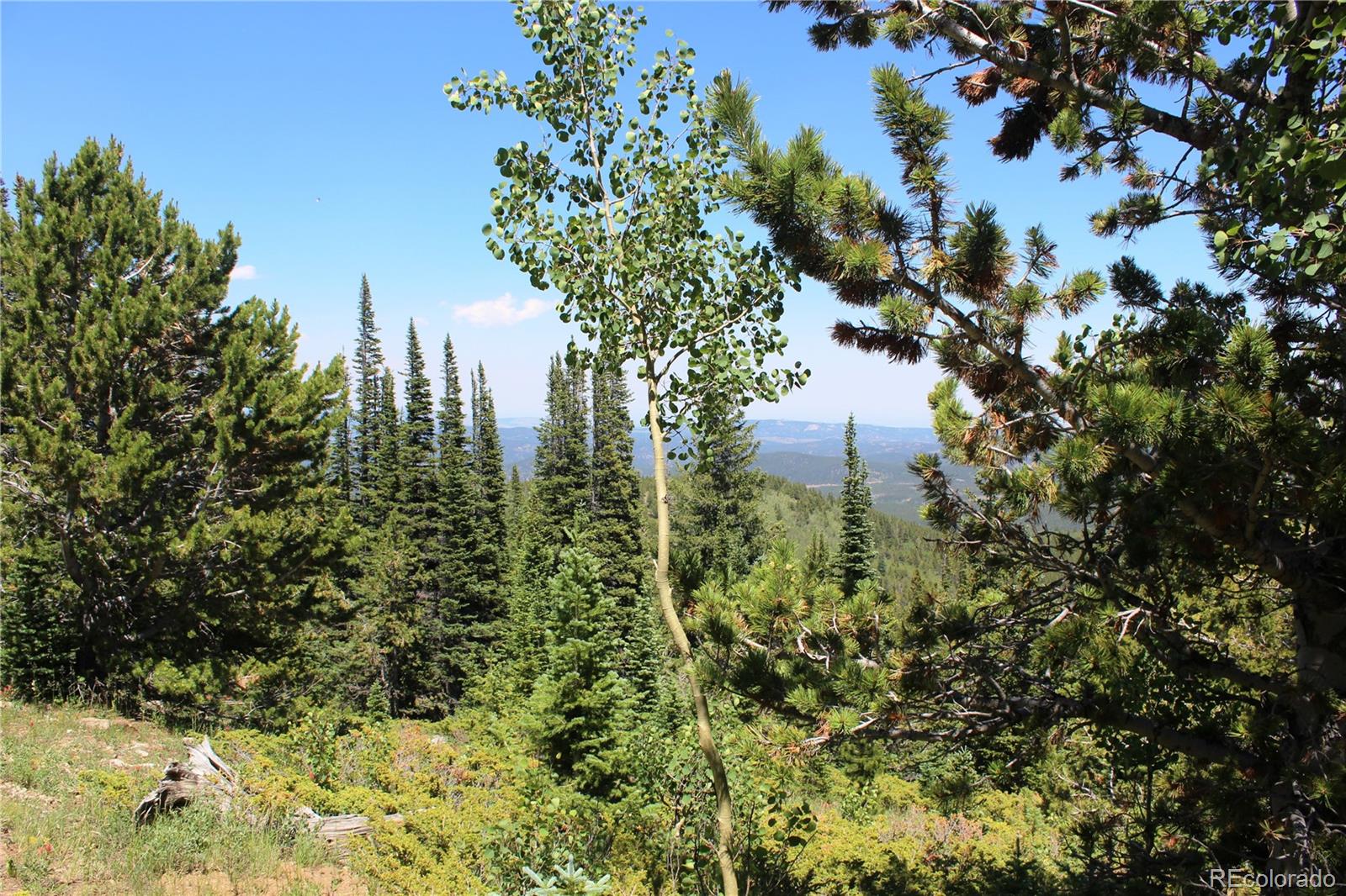 1595 Missouri Gulch Road Black Hawk, CO 80422 - Photo 21 of 49
