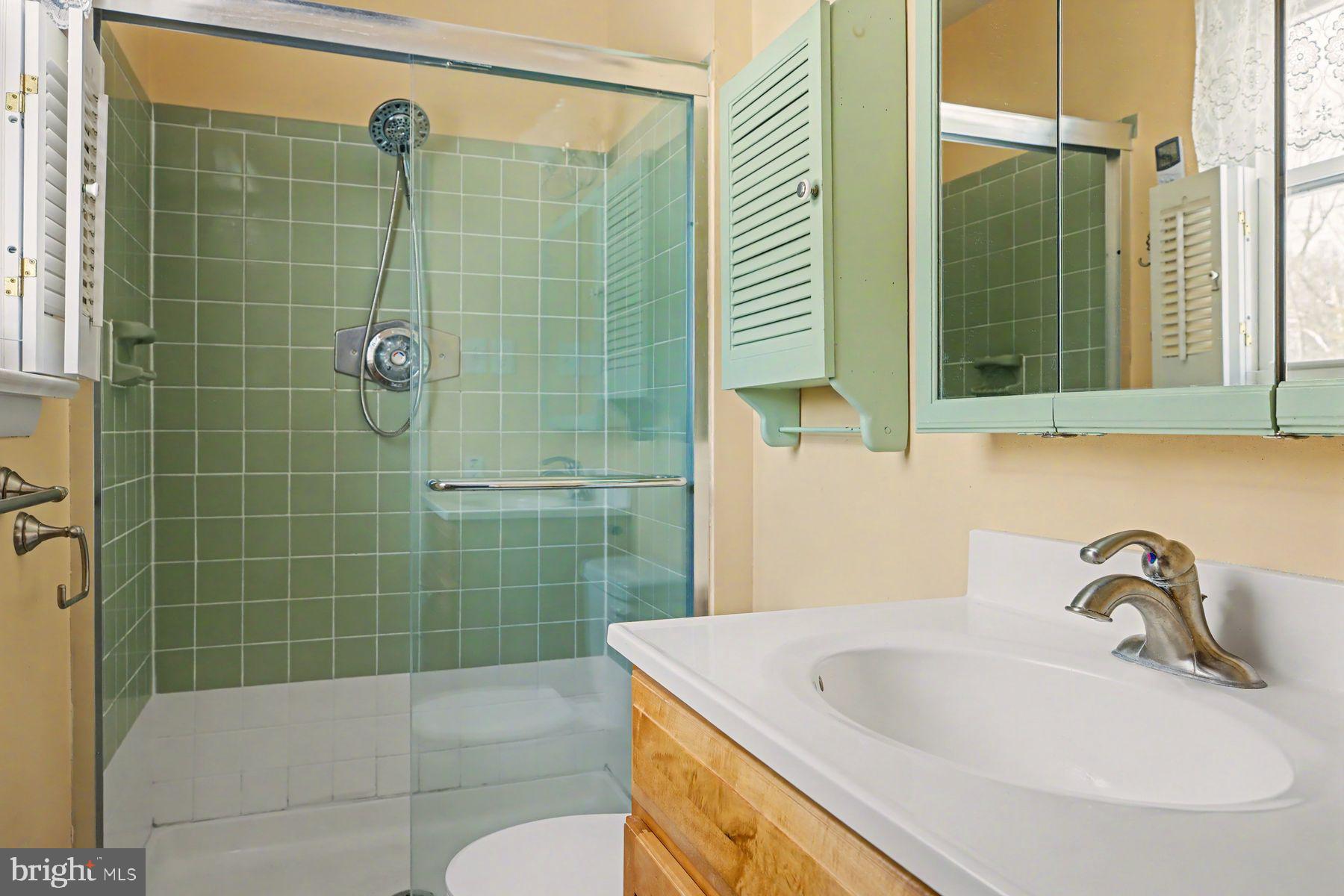 3702 Kings Road Pennsburg, PA 18073 - Photo 20 of 36 Primary en suite