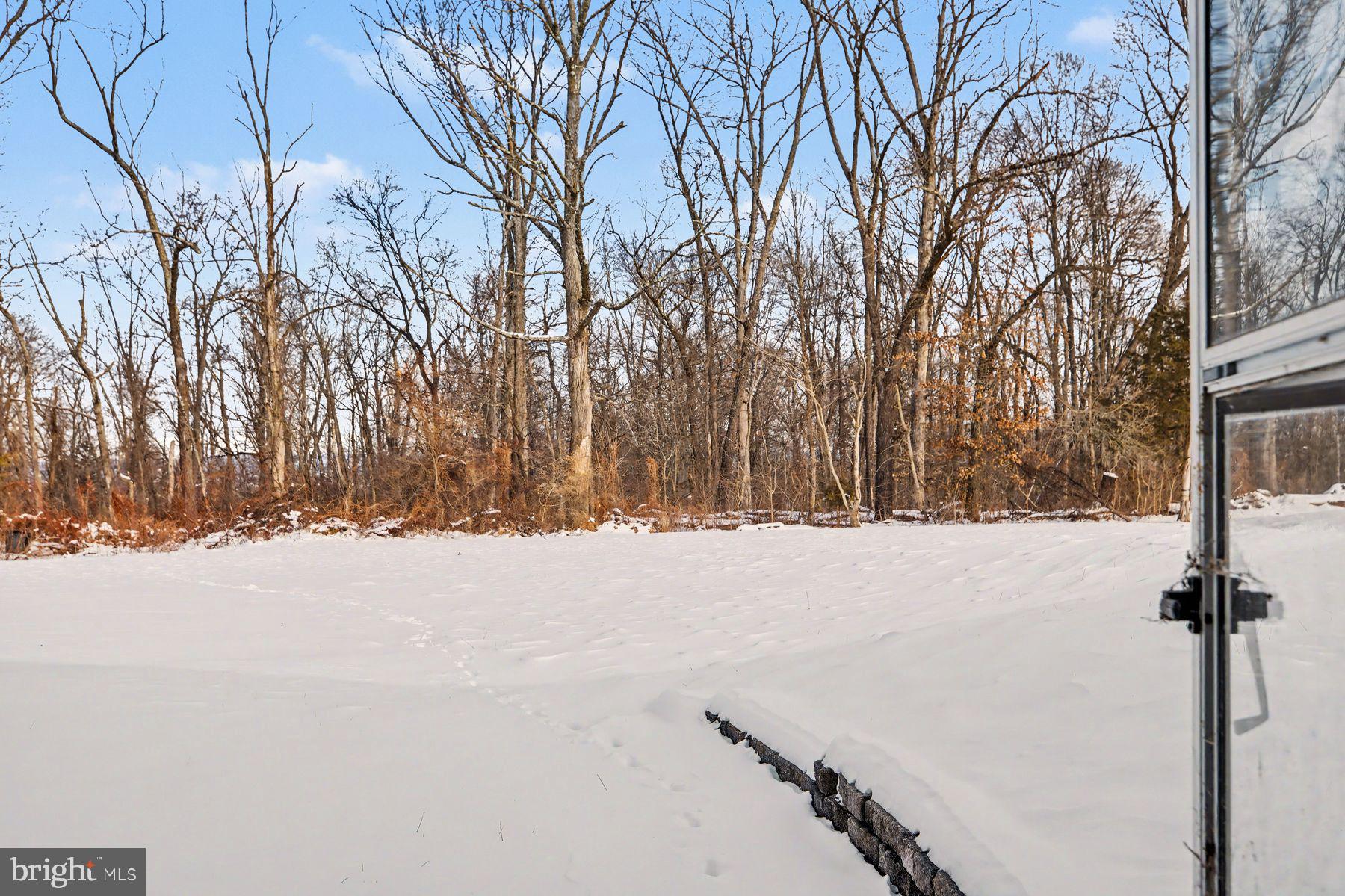 3702 Kings Road Pennsburg, PA 18073 - Photo 33 of 36 Back yard backs to woods
