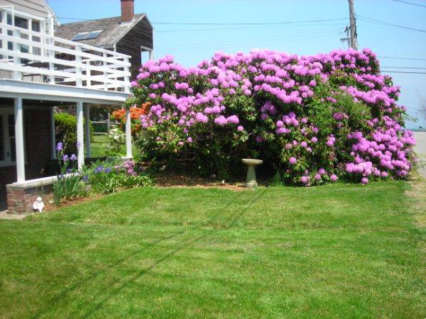 26 Stagehill Road Ipswich, MA 01938 - Photo 10 of 12