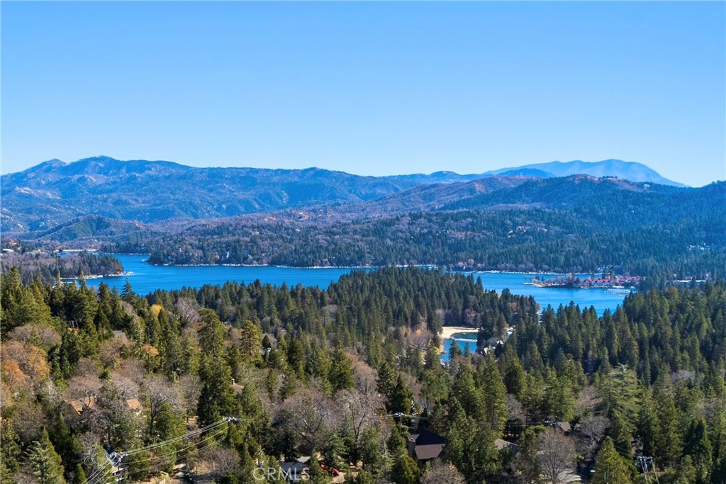 743 Rhine Road Lake Arrowhead, CA 92352 - Photo 19 of 30 a view of a forest with mountains in the background