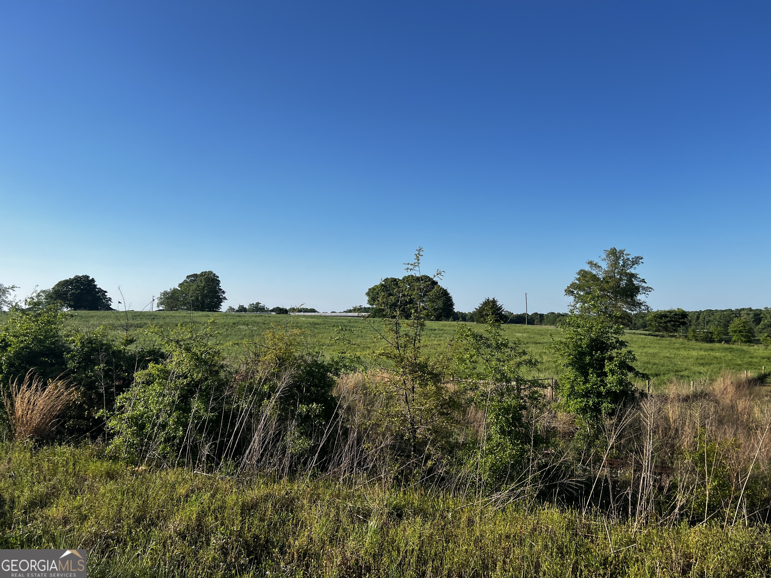 0 Bethany Bowersville Road Canon, GA 30516 - Photo 7 of 9