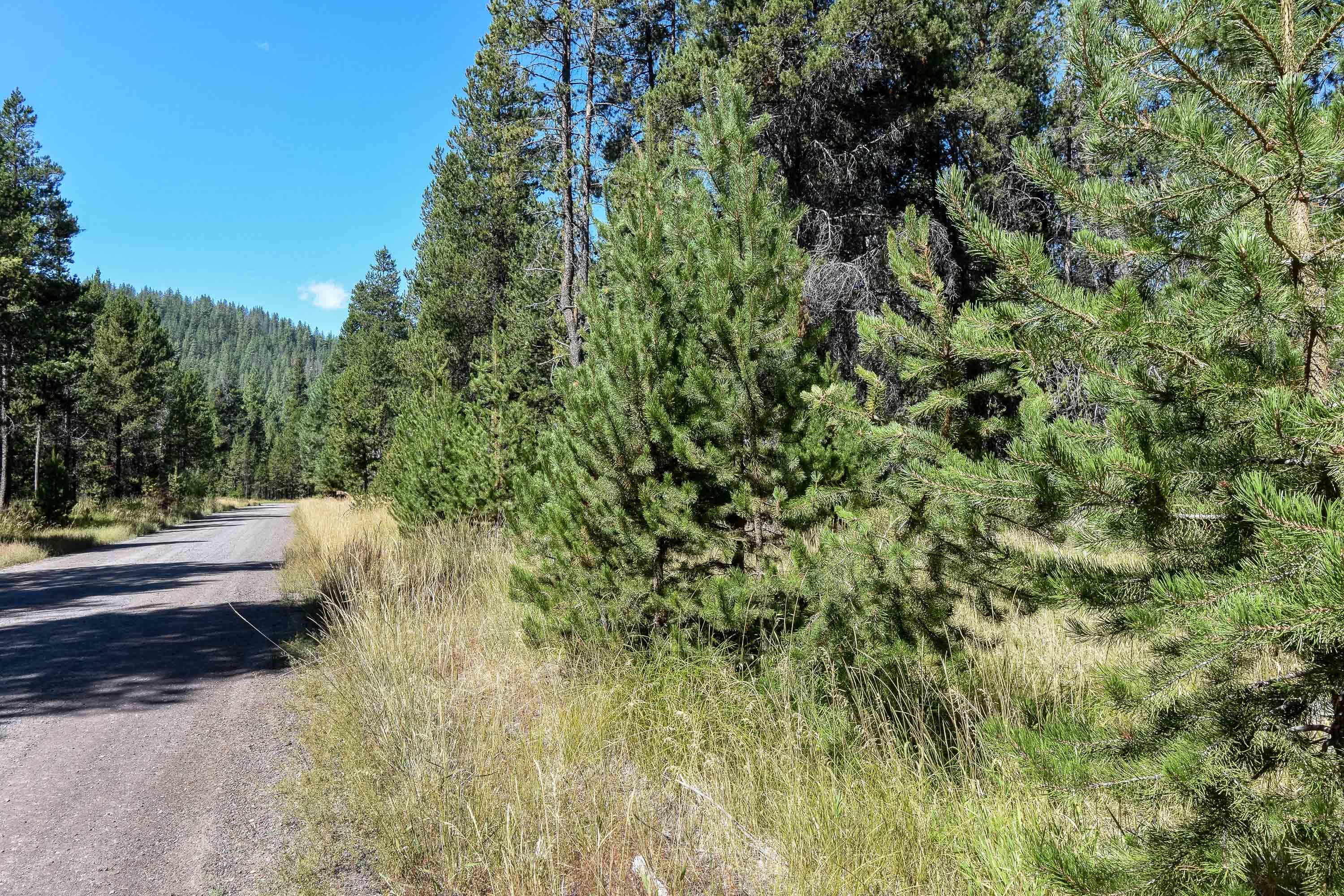 16844 Hermosa Road Bend, OR 97707 - Photo 1 of 7 20200822-DSC_0001