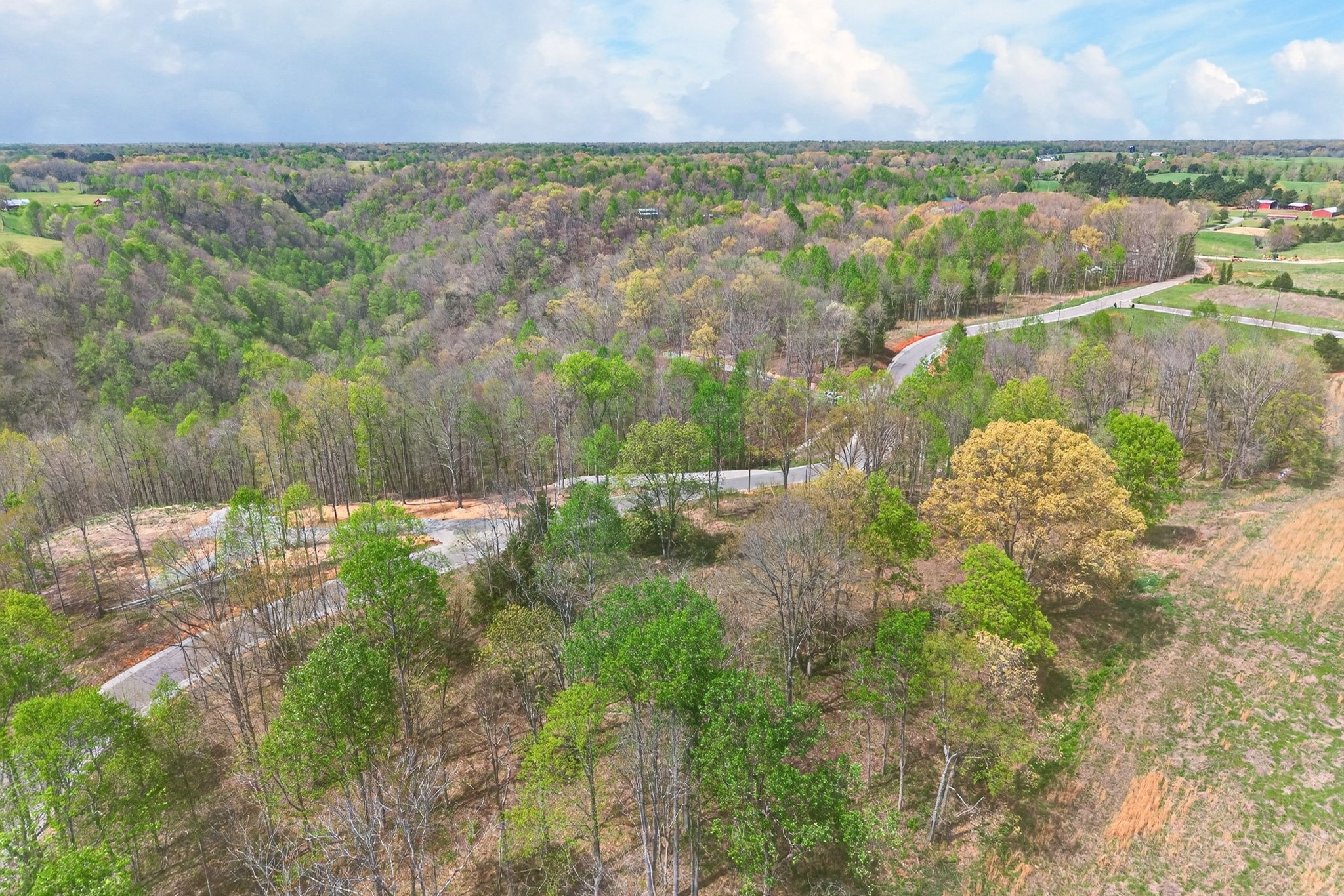 9510 Medlin Road Baxter, TN 38544 - Photo 1 of 19 a view of lake with green space
