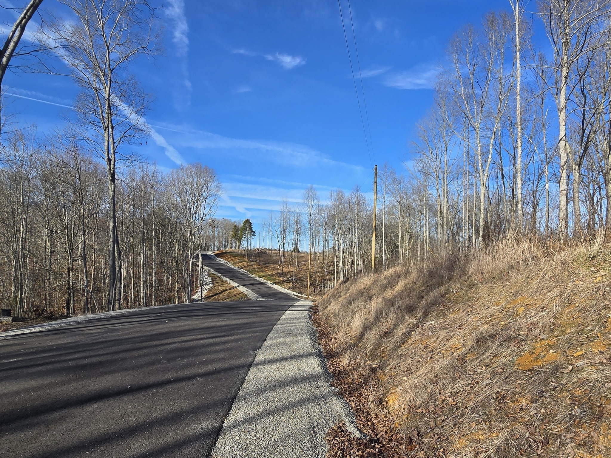 9510 Medlin Road Baxter, TN 38544 - Photo 19 of 19 a view of a pathway with a wrought fence