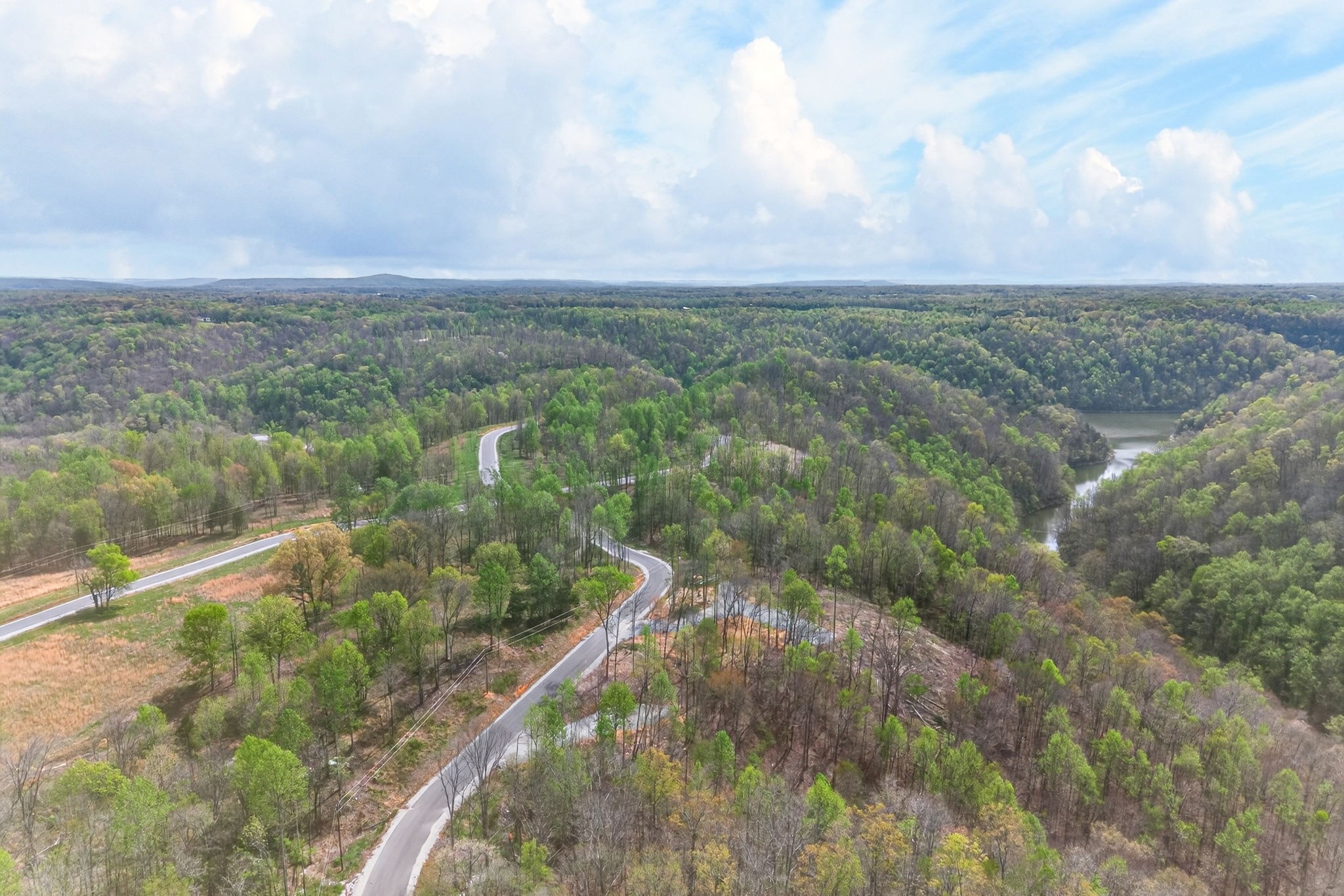 9510 Medlin Road Baxter, TN 38544 - Photo 3 of 19 a view of a green field with lots of bushes