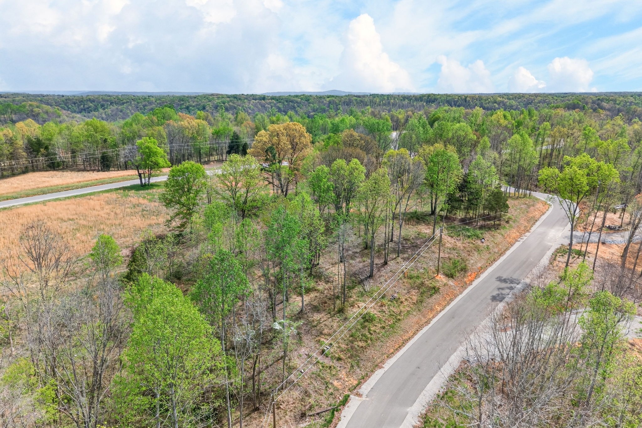9510 Medlin Road Baxter, TN 38544 - Photo 6 of 19 a view of a garden with mountain view