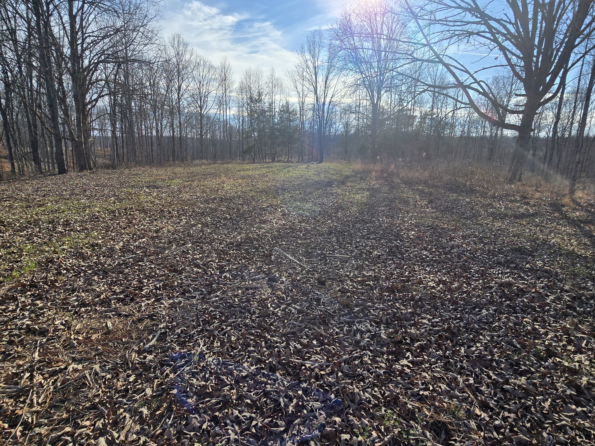 9510 Medlin Road Baxter, TN 38544 - Photo 9 of 19 a view of a yard with trees