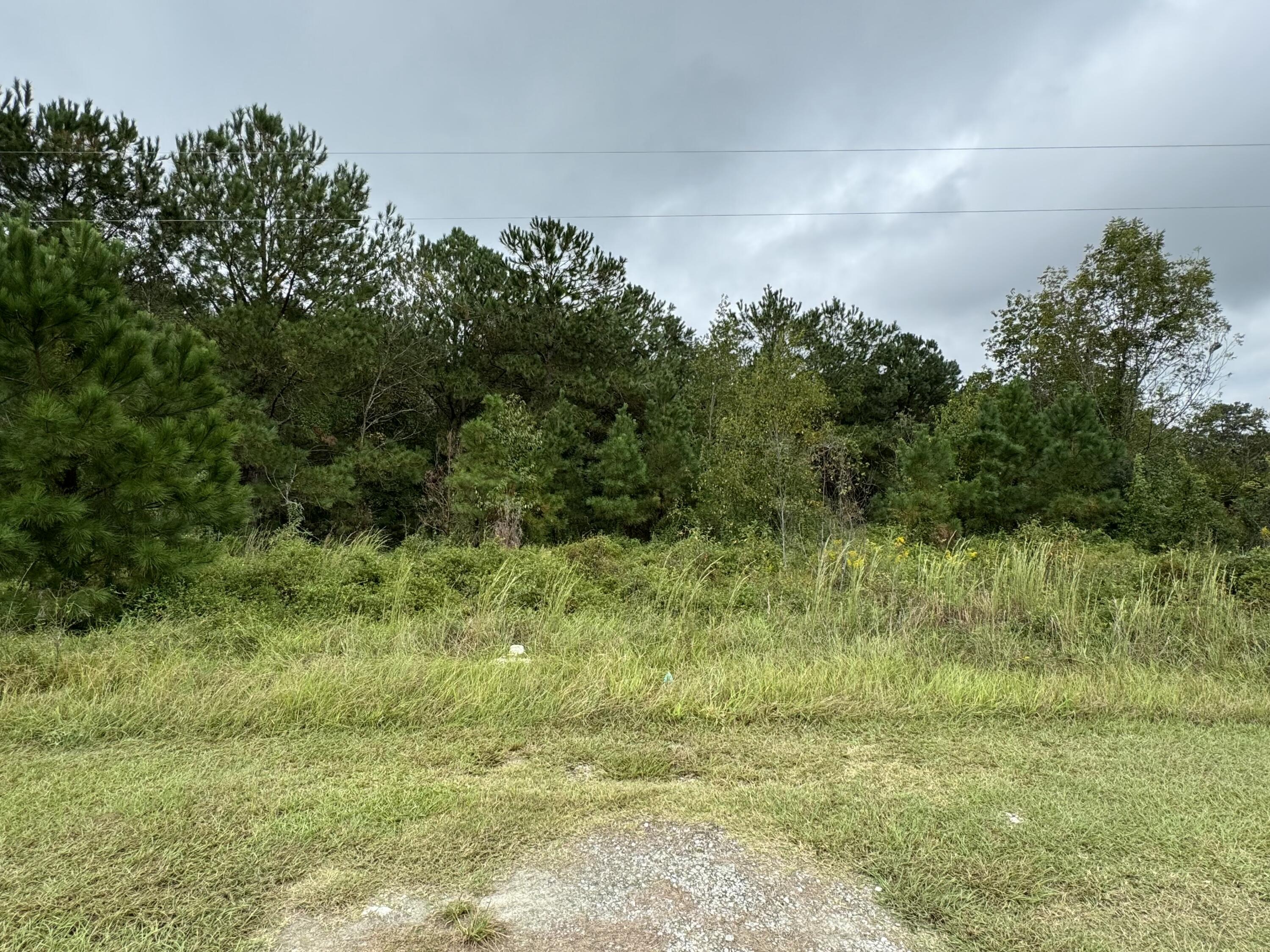 1607 James Martin Road, Unit 2 Manning, SC 29102 - Photo 4 of 4 lot 2- 3