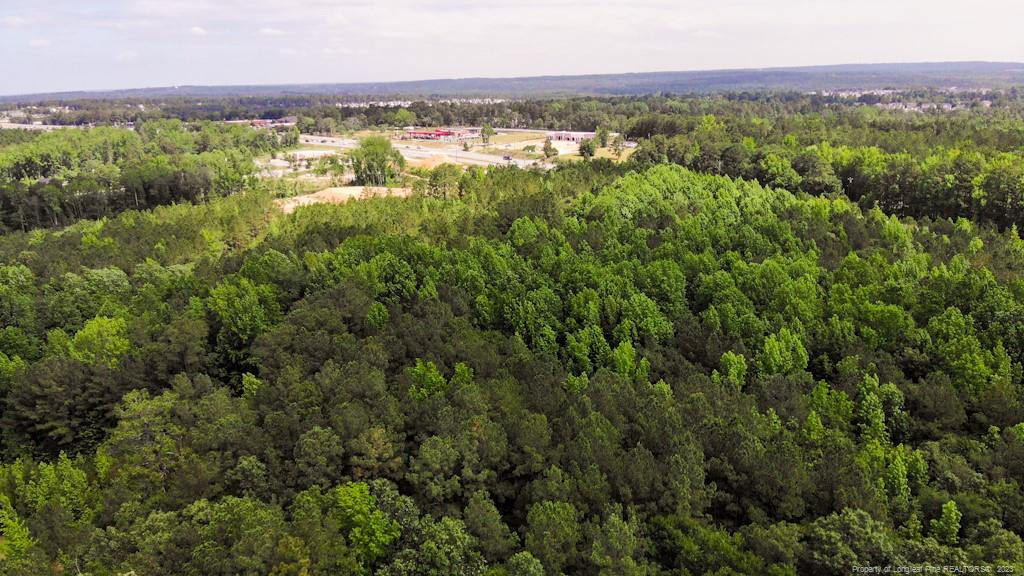 24-87 Nc Cameron, NC 28326 - Photo 3 of 28 a view of a city with lush green forest