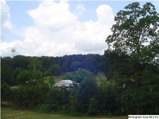 385 Ray Drive Locust Fork, AL 35097 - Photo 20 of 31