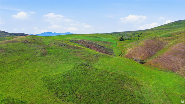 2075 Canyon Road Smithfield, UT 84335 - Photo 5 of 18 Rolling green hills under a bright blue sky