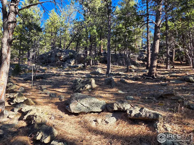 $475,000 | 2332 Big Owl Road, Allenspark, CO 80510