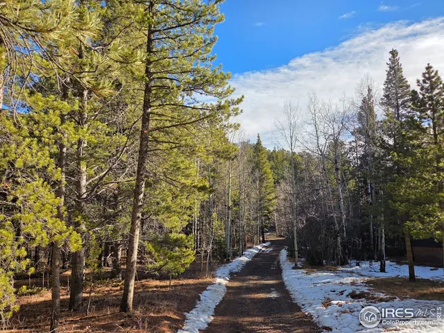 $475,000 | 2332 Big Owl Road, Allenspark, CO 80510